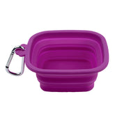 Silver Essentials Square Collapsible Water Bowl - Magenta | 500 ml • 2 Pack | 9008 - 500 ml / Magenta