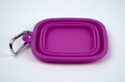 Silver Essentials Square Collapsible Water Bowl - Magenta | 500 ml • 2 Pack | 9008 - 500 ml / Magenta